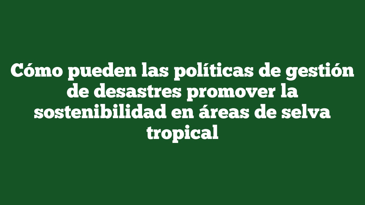 Cómo pueden las políticas de gestión de desastres promover la sostenibilidad en áreas de selva tropical